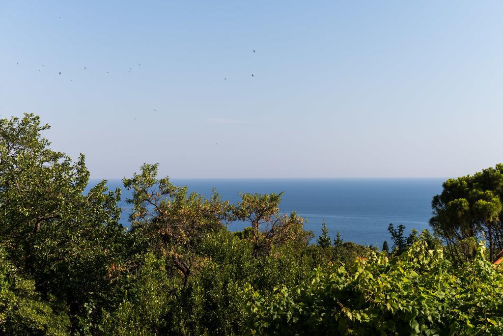Apartment Palma Dubrovnik Kültér fotó