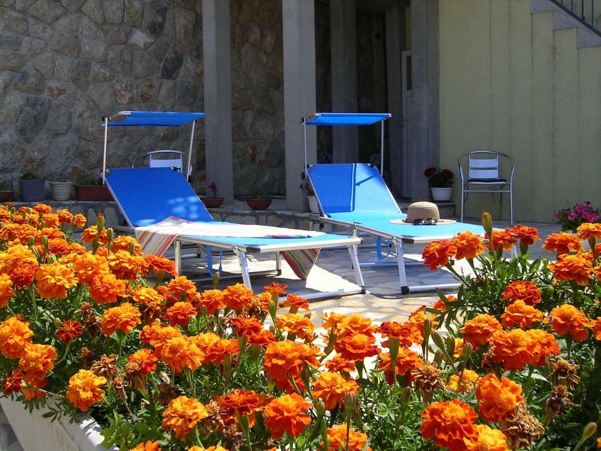 Apartment Palma Dubrovnik Kültér fotó
